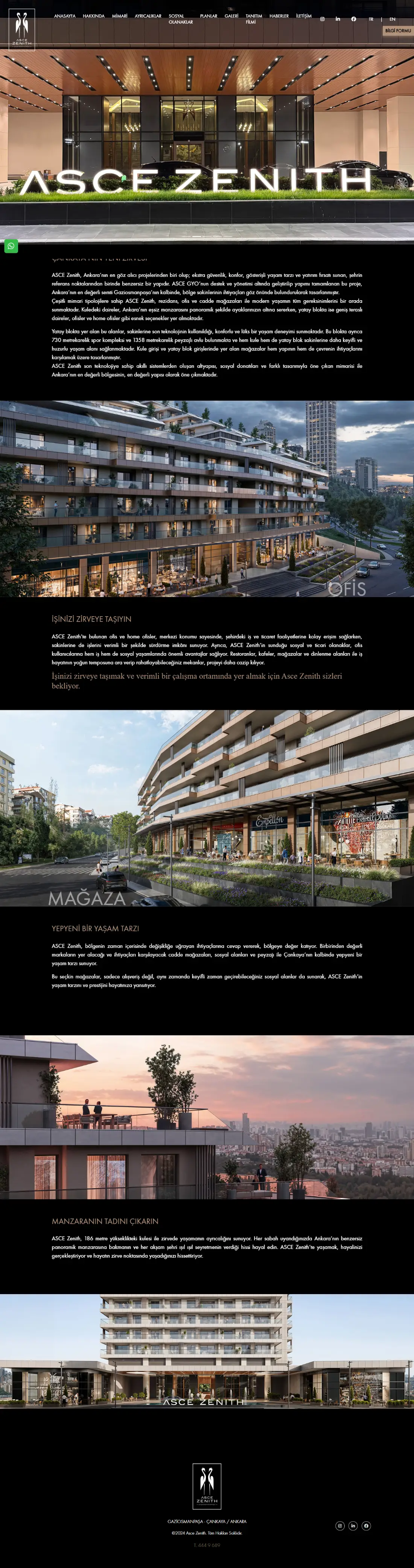 Asce Zenith ana sayfasının tamamı