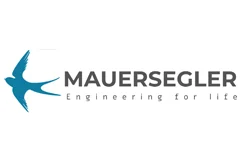 Mauersegler